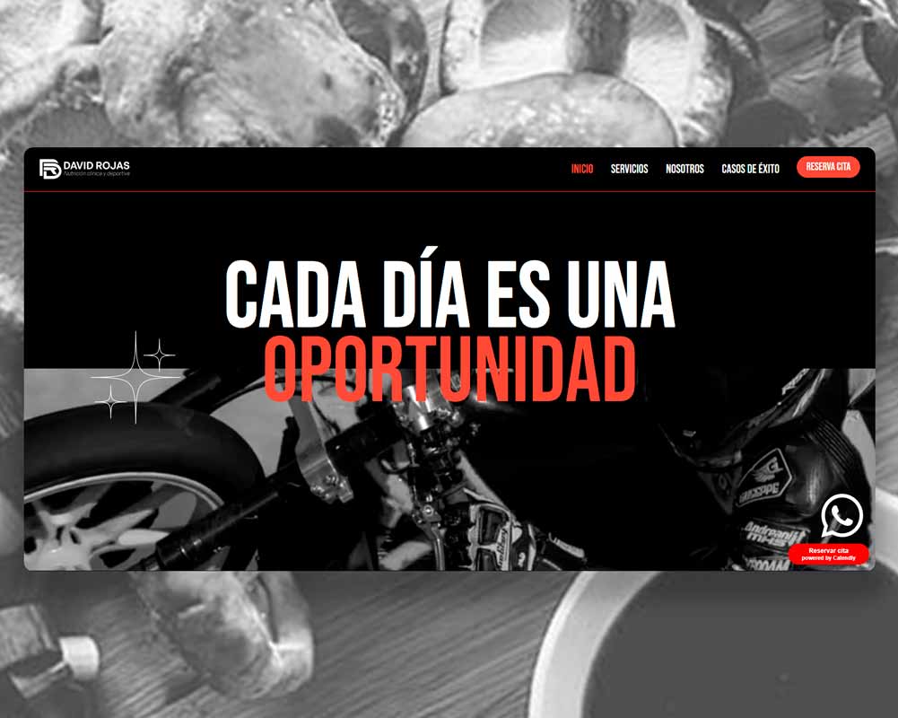 Dise&ntilde;o web profesional para David Rojas realizado por Alejandro Schintu