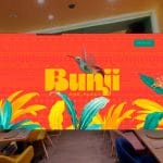 Mantenimiento web profesional para bunjitheplace realizado por Alejandro Schintu