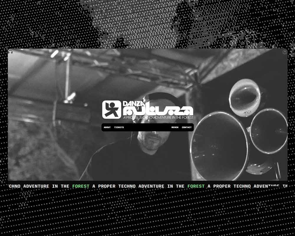 Dise&ntilde;o web profesional para Danza Futura realizado por Alejandro Schintu