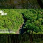 Dise&ntilde;o web profesional para Juntos por salud realizado por Alejandro Schintu