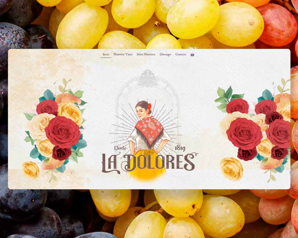 Desarrollo web profesional para Bodega ladolores realizado por Alejandro Schintu